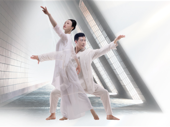 Cover image of Chinese Kungfu x Dance Carnival
