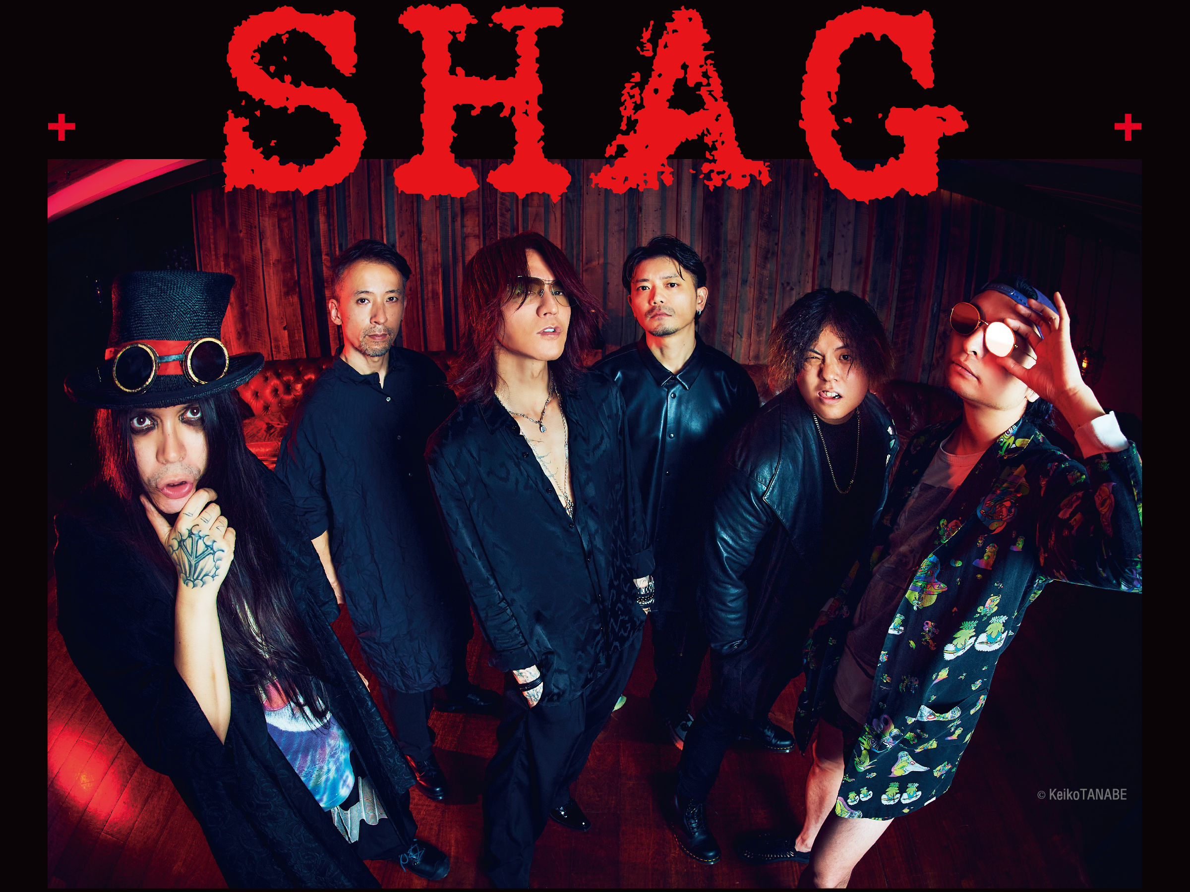 Cover image of JITN - SHAG